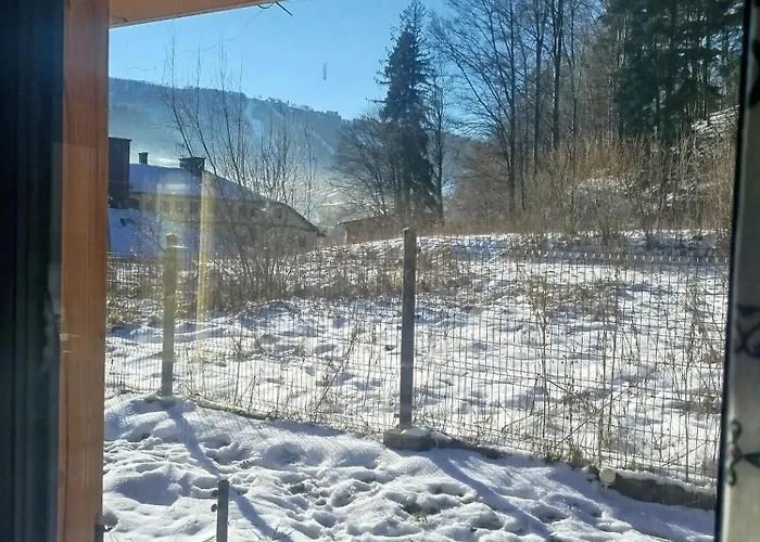 Pod Lasem * שצ'צ'ירק